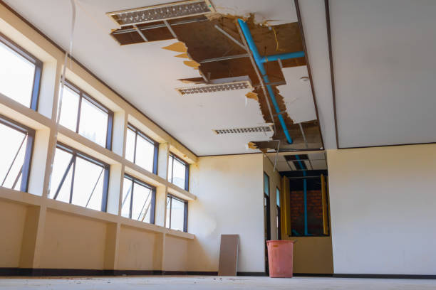 Best Professional water damage repair  in Saticoy, CA
