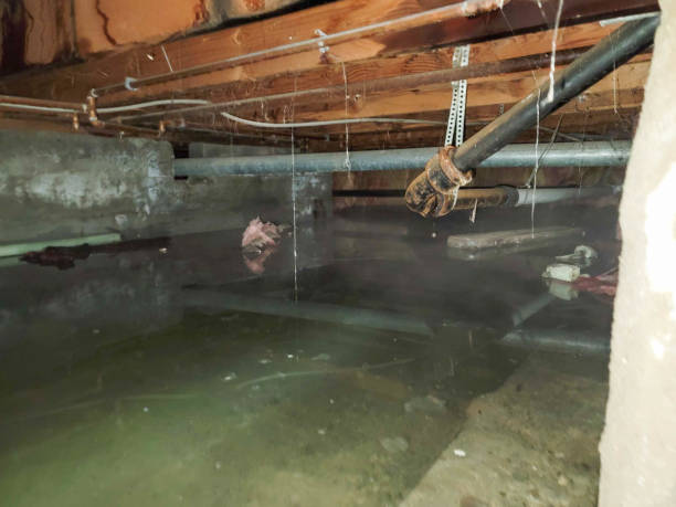 Professional Water damage restoration in Saticoy, CA