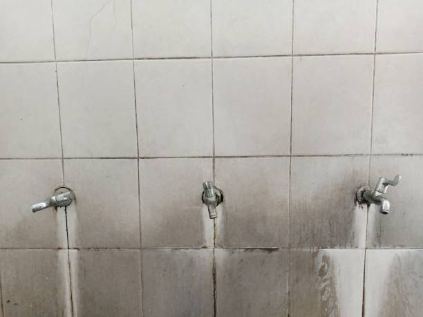 Best Flood damage cleanup  in Saticoy, CA
