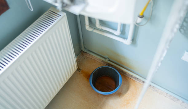 Best Local water damage restoration  in Saticoy, CA