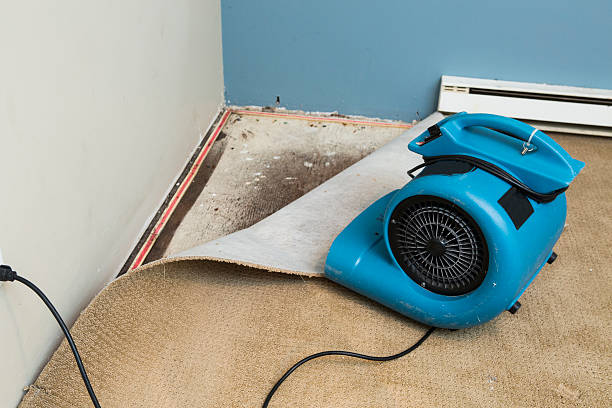 Best Water damage contractors near me  in Saticoy, CA